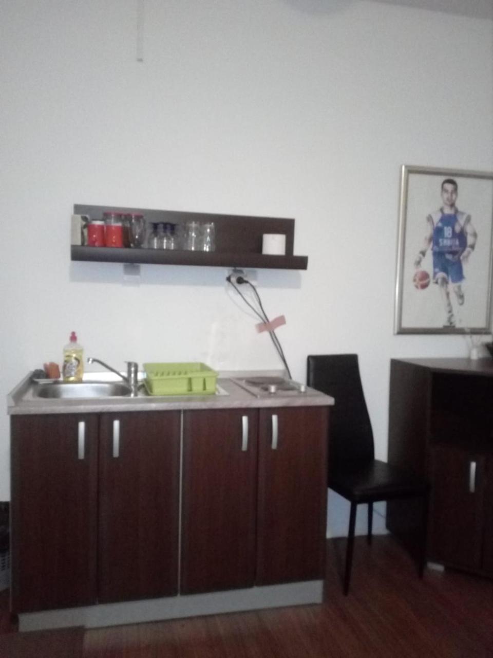 Apartment Viktor Stan Na Dan Šabac Extérieur photo
